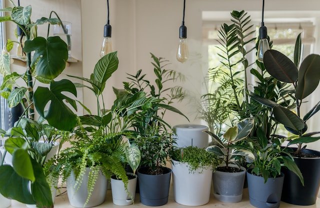 Outdoor Pot Light Installation
